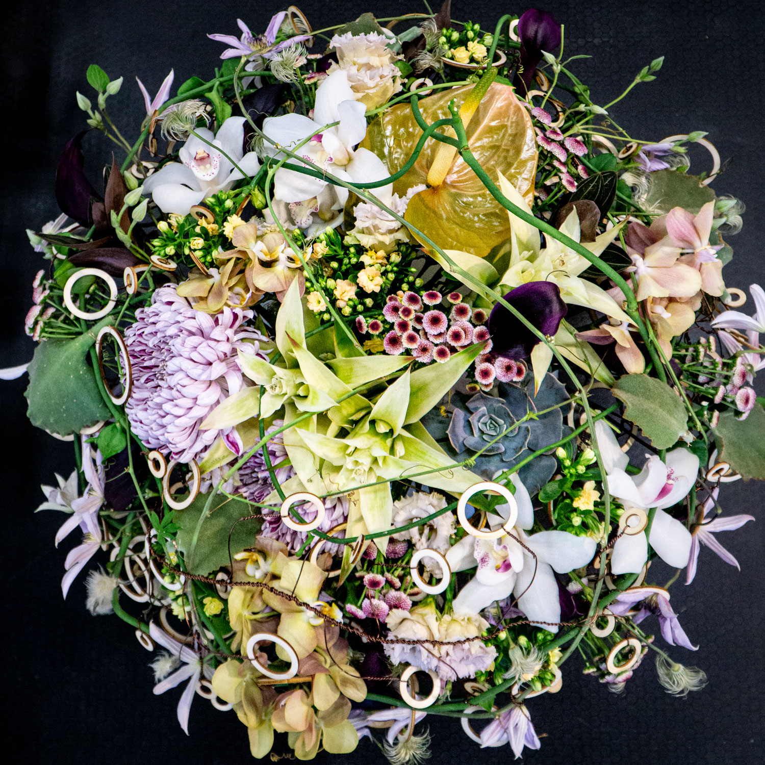 00 Hanneke BGM Duesseldorf Oktober 2022