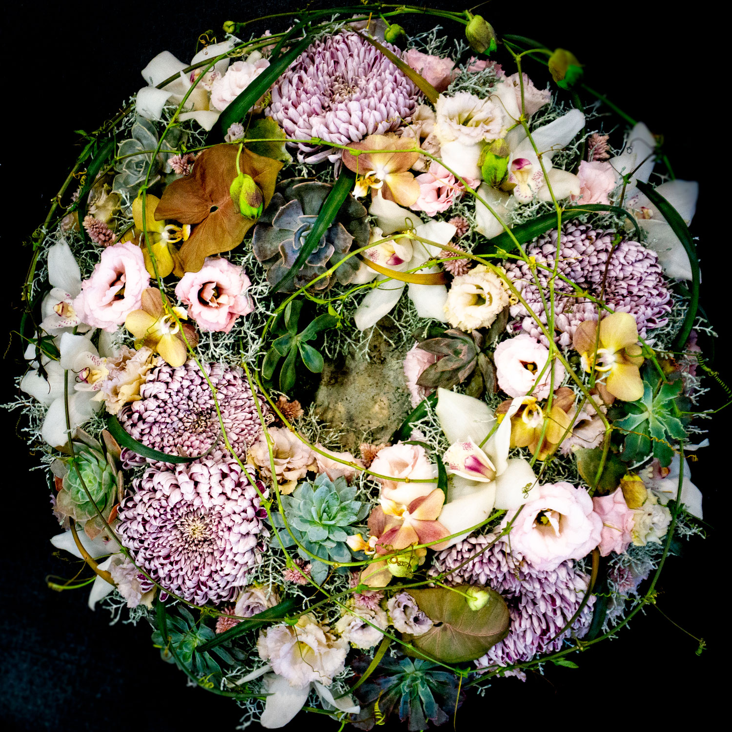 01 Hanneke BGM Duesseldorf Oktober 2022