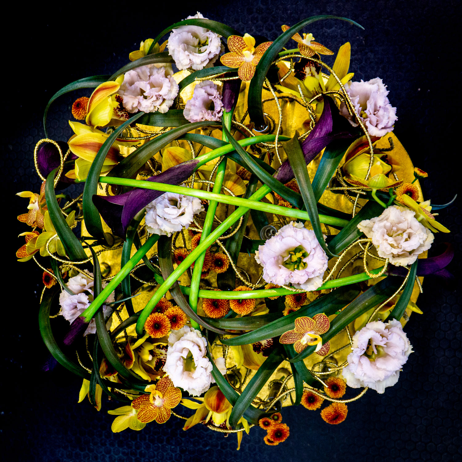 02 Hanneke BGM Duesseldorf Oktober 2022