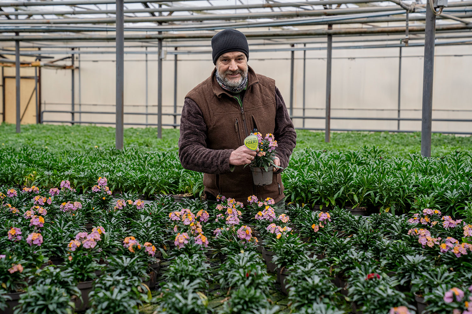 mannheim schwahn menu